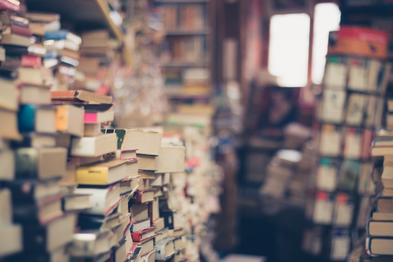 vitrine-CAUSSOLS-min_books_stack_book_store_stack_of_books_2nd_hand_retro_hipster_shop-829090